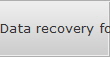 Data recovery for Dixon data